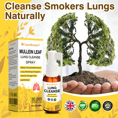 🫁🇬🇧 Official Store:CareBreeze® Botanical Mullein Leaf Extract Lung Cleanse Spray（💛Directly acts on COPD, asthma, chronic bronchitis (CB), respiratory infections, lung cancer, sinusitis, and other conditions💛）