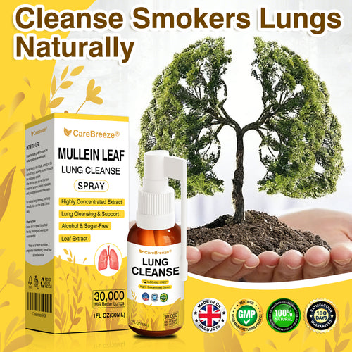 🫁🇬🇧 Official Store:CareBreeze® Botanical Mullein Leaf Extract Lung Cleanse Spray（💛Directly acts on COPD, asthma, chronic bronchitis (CB), respiratory infections, lung cancer, sinusitis, and other conditions💛）