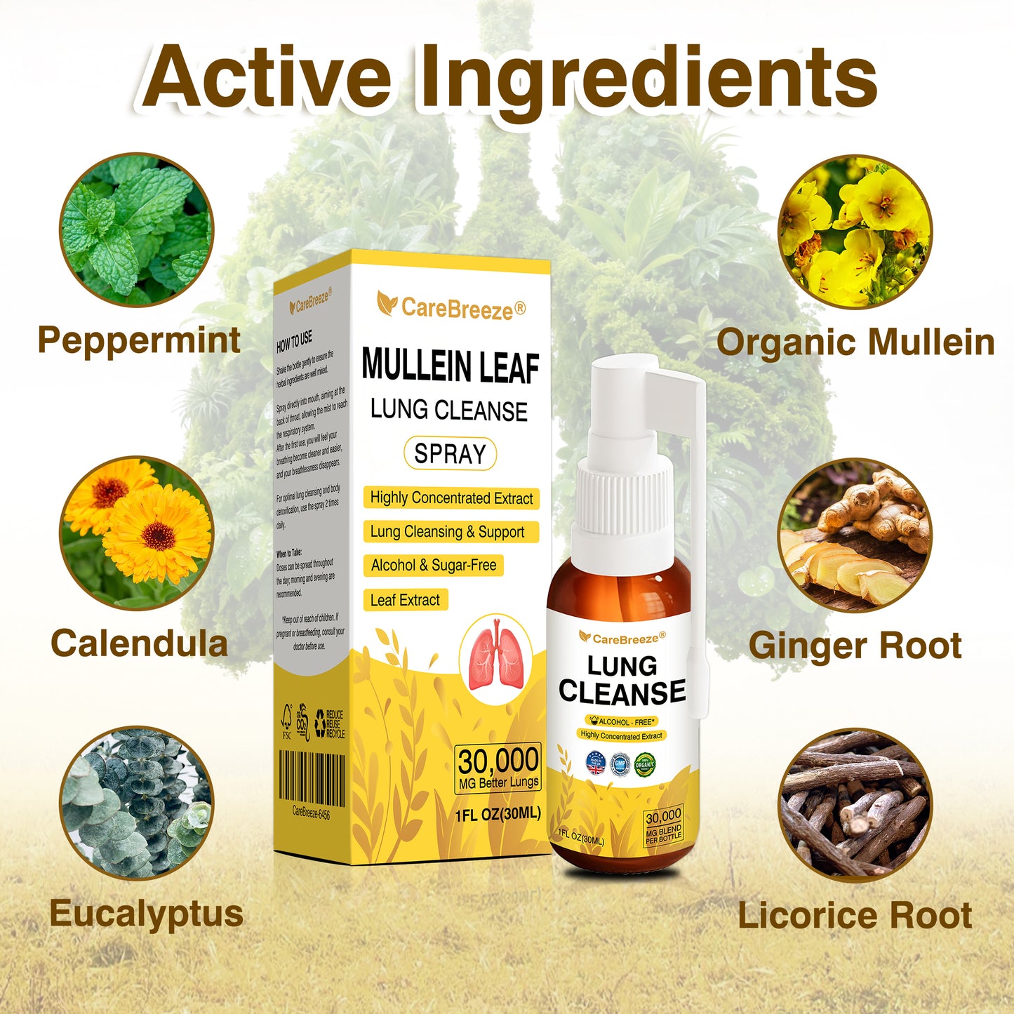 🫁🇬🇧 Official Store:CareBreeze® Botanical Mullein Leaf Extract Lung Cleanse Spray（💛Directly acts on COPD, asthma, chronic bronchitis (CB), respiratory infections, lung cancer, sinusitis, and other conditions💛）