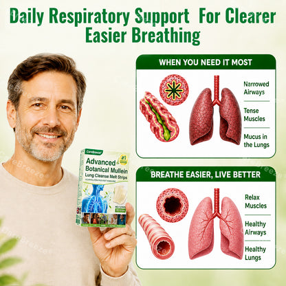🇬🇧 ✅CareBreeze® Advanced Botanical Mullein Lung Cleanse Melt Strips（👨‍⚕️Directly acts on COPD, asthma, chronic bronchitis (CB), respiratory infections, lung cancer, sinusitis, and other conditions）