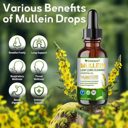 💖✅𝐔𝐊 𝐎𝐟𝐟𝐢𝐜𝐢𝐚𝐥 𝐒𝐭𝐨𝐫𝐞:𝐂𝐞𝐥𝐬𝐢𝐨𝐫𝐚® 𝐎𝐫𝐠𝐚𝐧𝐢𝐜 𝐌𝐮𝐥𝐥𝐞𝐢𝐧 𝐋𝐞𝐚𝐟 𝐋𝐮𝐧𝐠 𝐂𝐥𝐞𝐚𝐧𝐬𝐞 𝐄𝐬𝐬𝐞𝐧𝐭𝐢𝐚𝐥 𝐎𝐢𝐥 (💖Cough, wheezing, shortness of breath, sputum, stuffy nose, bronchitis, bronchitis, allergy symptoms, lung discomfort💝)
