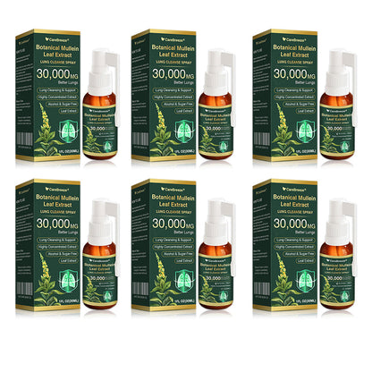 ⚡⚡✅𝐔𝐊 Official Store:CareBreeze® Botanical Mullein Leaf Extract Lung Cleanse Spray（💖Supports daily respiratory health, Helps clear congestion, Promotes easier breathing💖）