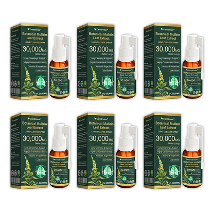 🎈✅𝐔𝐊 Official Store:CareBreeze® Botanical Mullein Leaf Extract Lung Cleanse Spray（👨‍⚕️Directly acts on COPD, asthma, chronic bronchitis (CB), respiratory infections, lung cancer, sinusitis, and other conditions）