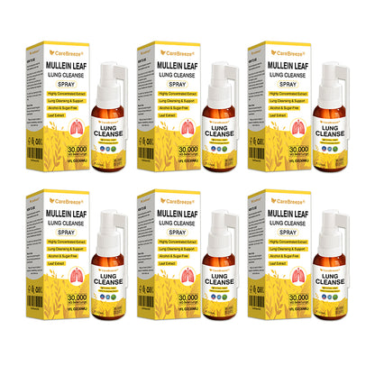 🫁🇬🇧 Official Store:CareBreeze® Botanical Mullein Leaf Extract Lung Cleanse Spray（💛Directly acts on COPD, asthma, chronic bronchitis (CB), respiratory infections, lung cancer, sinusitis, and other conditions💛）