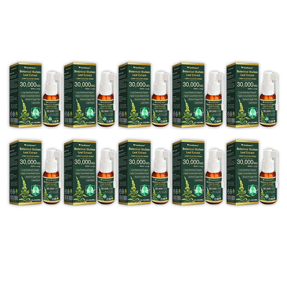 🎈✅𝐔𝐊 Official Store:CareBreeze® Botanical Mullein Leaf Extract Lung Cleanse Spray（👨‍⚕️Directly acts on COPD, asthma, chronic bronchitis (CB), respiratory infections, lung cancer, sinusitis, and other conditions）