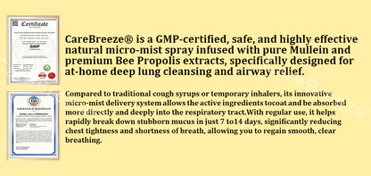 🐝🇬🇧 Official Store:CareBreeze® 6-in-1 Herbal BeePropolis Lung Cleanse Spray（👨‍⚕️Directly acts on COPD, asthma, chronic bronchitis (CB), respiratory infections, lung cancer, sinusitis, and other conditions🫁）