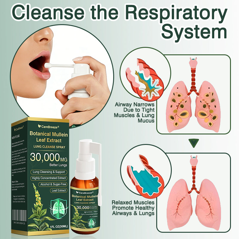 ⚡⚡✅𝐔𝐊 Official Store:CareBreeze® Botanical Mullein Leaf Extract Lung Cleanse Spray（💖Supports daily respiratory health, Helps clear congestion, Promotes easier breathing💖）