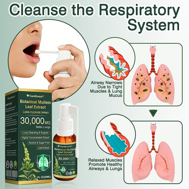 🎈✅𝐔𝐊 Official Store:CareBreeze® Botanical Mullein Leaf Extract Lung Cleanse Spray（👨‍⚕️Directly acts on COPD, asthma, chronic bronchitis (CB), respiratory infections, lung cancer, sinusitis, and other conditions）