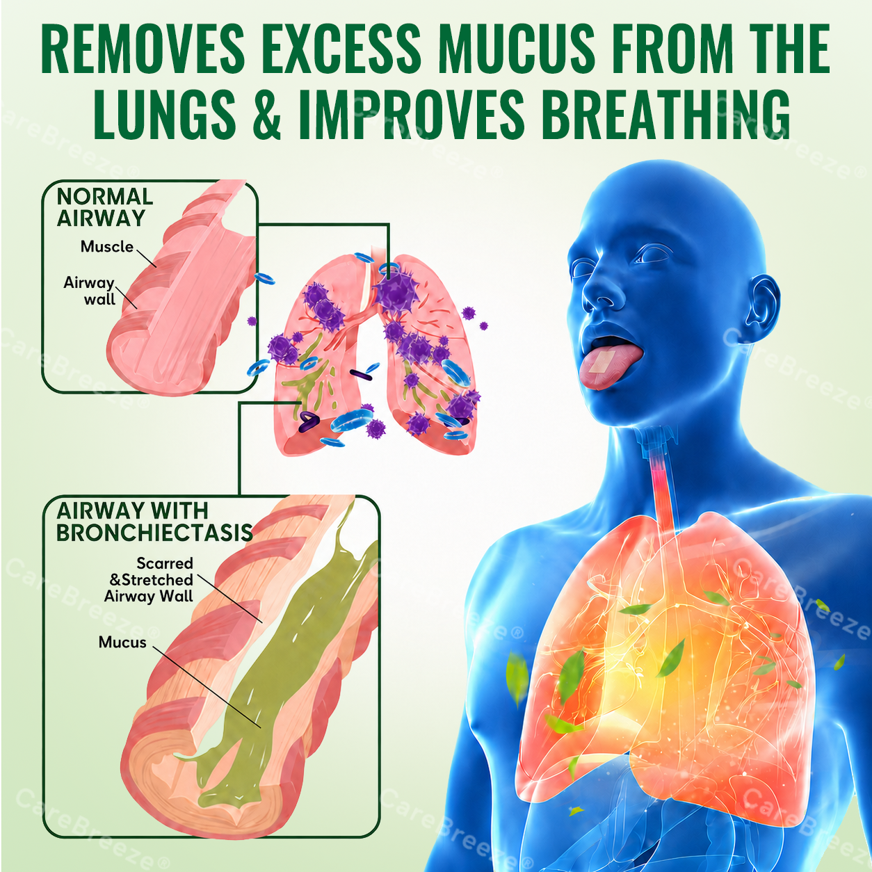 🇬🇧 ✅CareBreeze® Advanced Botanical Mullein Lung Cleanse Melt Strips（👨‍⚕️Directly acts on COPD, asthma, chronic bronchitis (CB), respiratory infections, lung cancer, sinusitis, and other conditions）