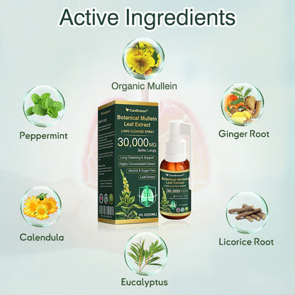 🎈✅𝐔𝐊 Official Store:CareBreeze® Botanical Mullein Leaf Extract Lung Cleanse Spray（👨‍⚕️Directly acts on COPD, asthma, chronic bronchitis (CB), respiratory infections, lung cancer, sinusitis, and other conditions）