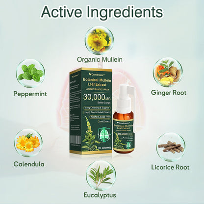 ⚡⚡✅𝐔𝐊 Official Store:CareBreeze® Botanical Mullein Leaf Extract Lung Cleanse Spray（💖Supports daily respiratory health, Helps clear congestion, Promotes easier breathing💖）
