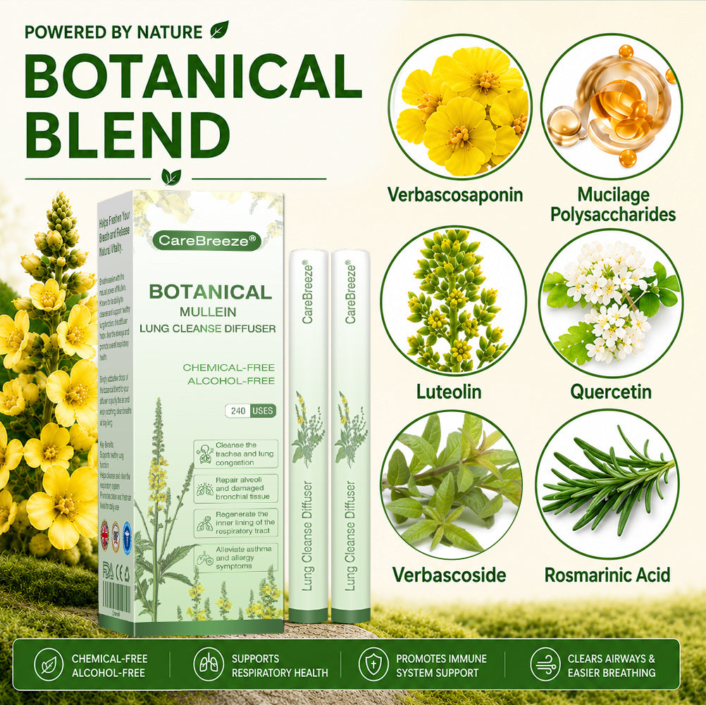 🇬🇧 UK Owned and Operated|CareBreeze® Botanical Mullein Lung Cleanse Diffuser (💝 Cough, wheezing, shortness of breath, sputum, stuffy nose, bronchitis, bronchitis, allergy symptoms, lung discomfort💝)