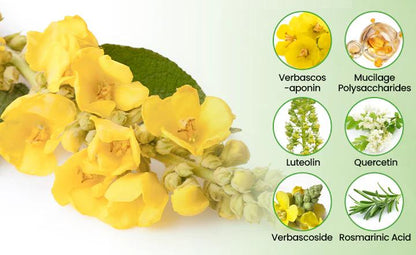 💓✅UK Owned and Operated|CareBreeze® Botanical Mullein Lung Cleanse Diffuser (💝 Cough, wheezing, shortness of breath, sputum, stuffy nose, bronchitis, bronchitis, allergy symptoms, lung discomfort💝)